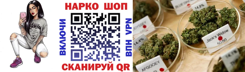 Где купить наркоту Снежногорск Конопля  СК  ГАШ  Мефедрон 