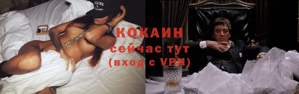 тгк Алзамай