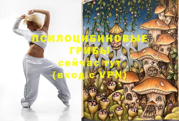 дурь Алексеевка