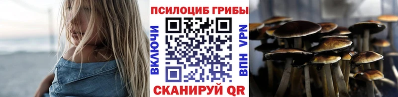 Галлюциногенные грибы Cubensis Снежногорск